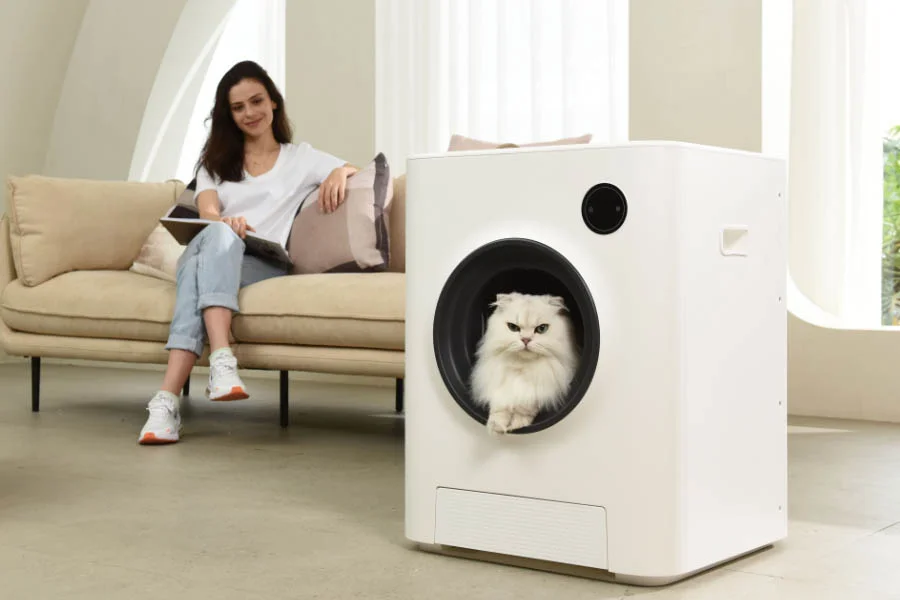 best cat litter box for odor