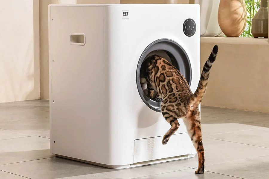how to clean a cat litter box